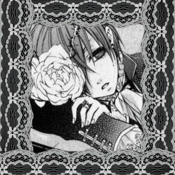 ✵시엘✵