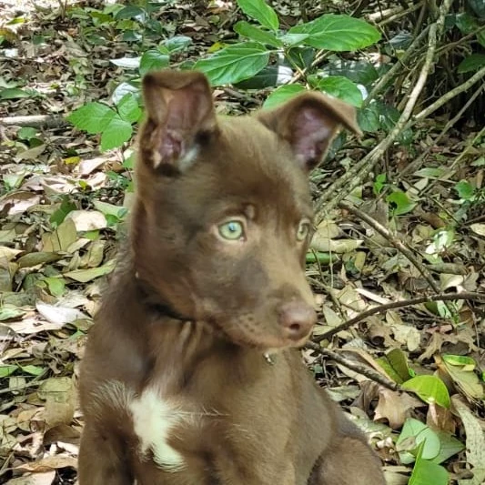 Rio