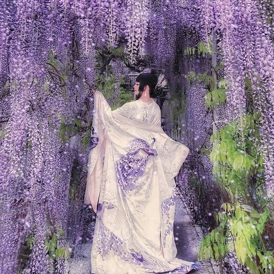 Wisteria