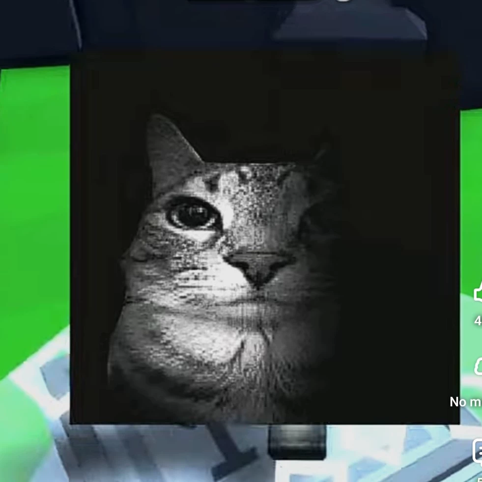 Rexci