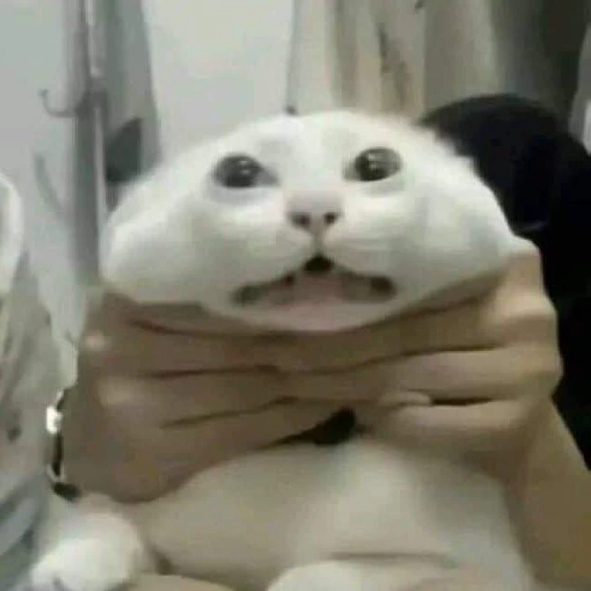 Cheeta