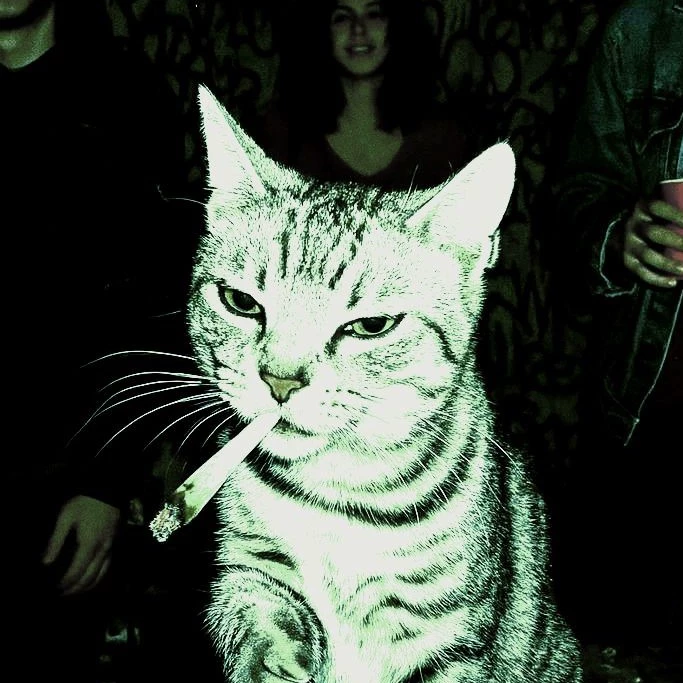 𝕸𝖆𝖙𝖘𝖚𝖉𝖆