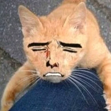 Horny crazy cat XD