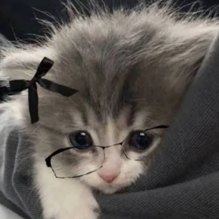 𝐾𝑜𝑡𝑦𝑎𝑟𝑎