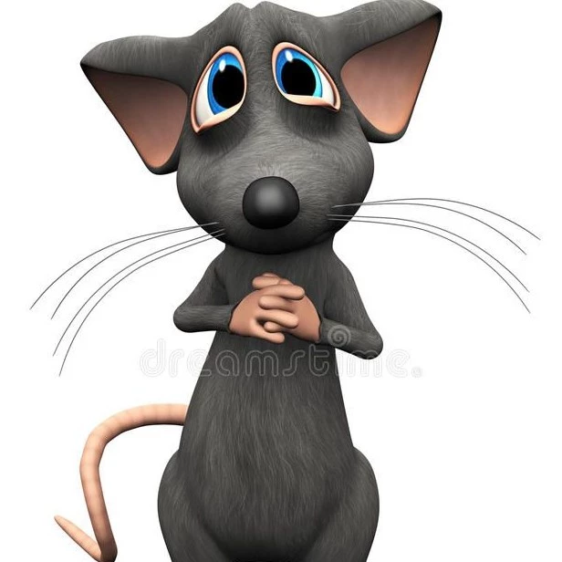 Stefanny