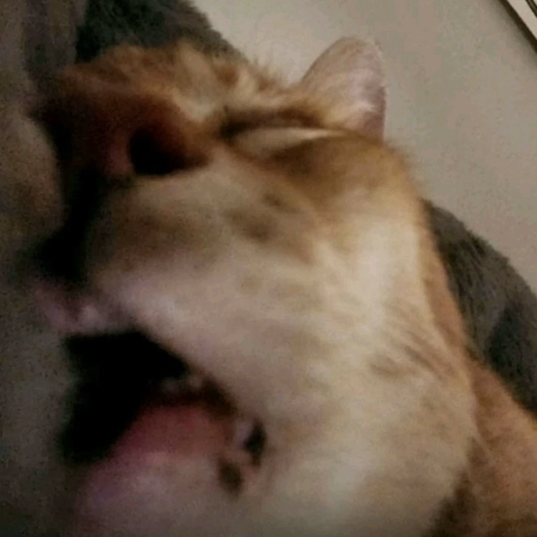 Mira2