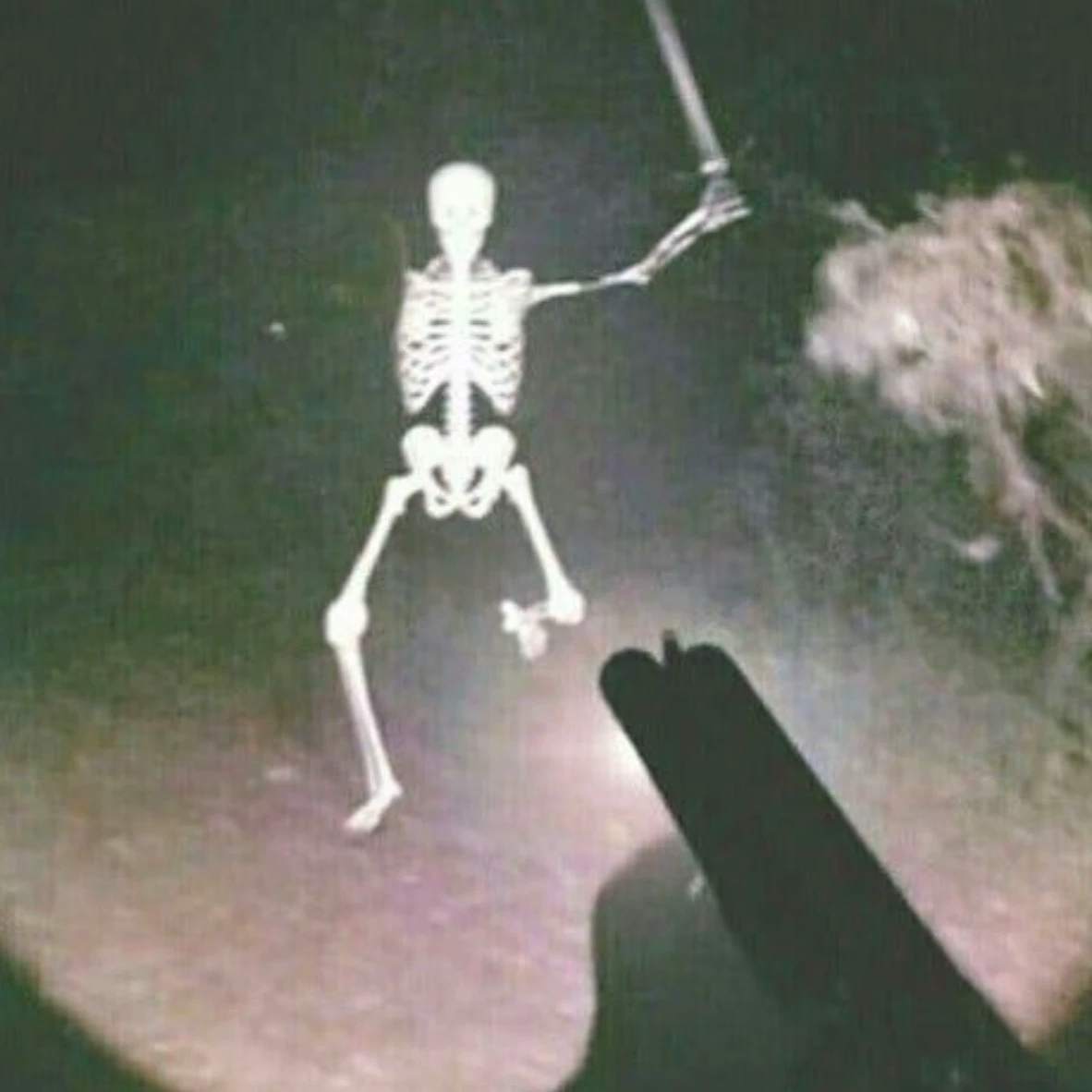 еся 