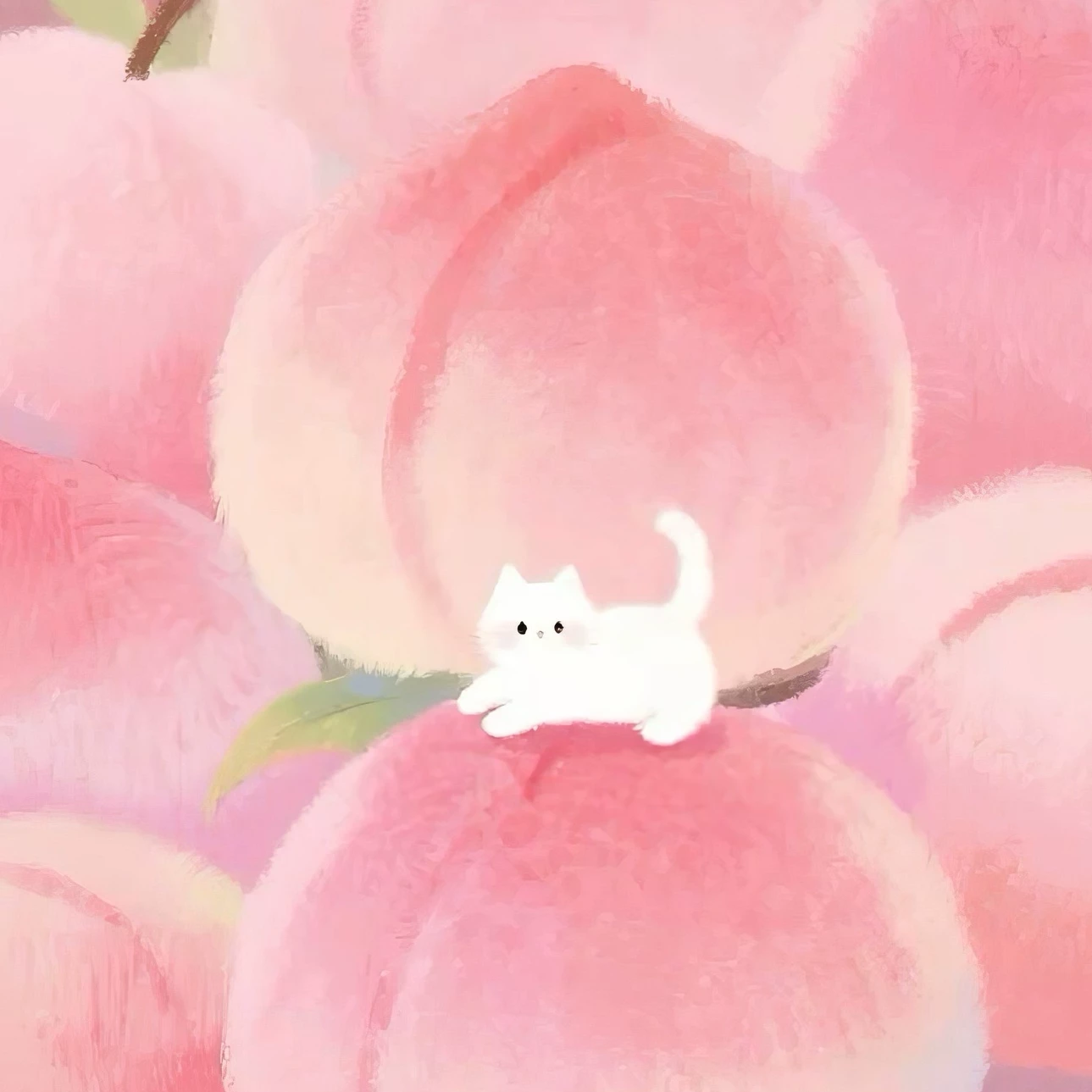 Peach 