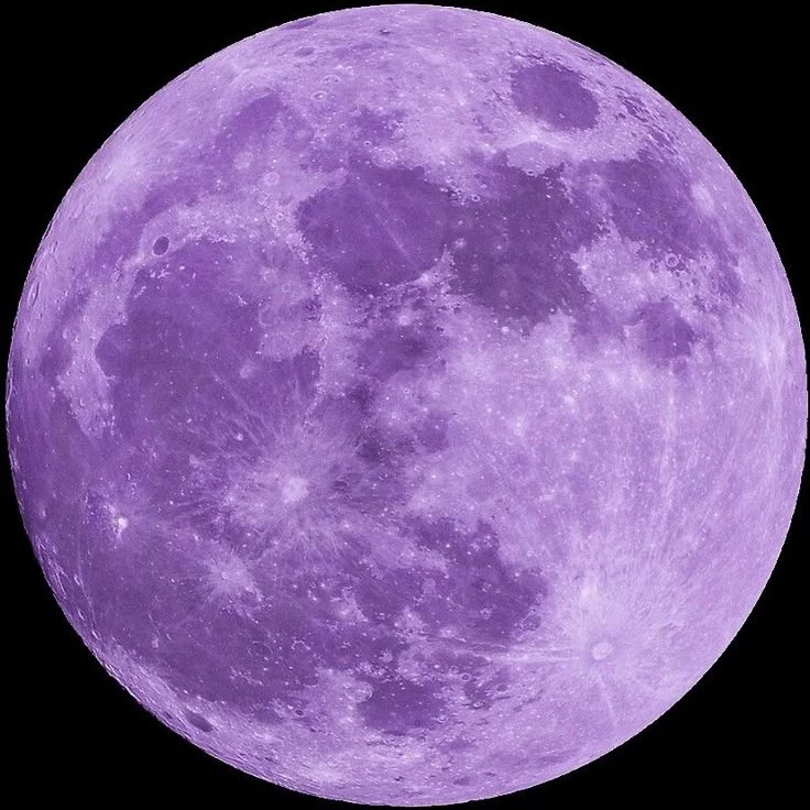 ☆Simplyfeelingpurple☆