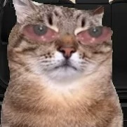JSmoothie