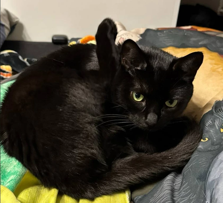 Black Moon
