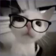 Саша