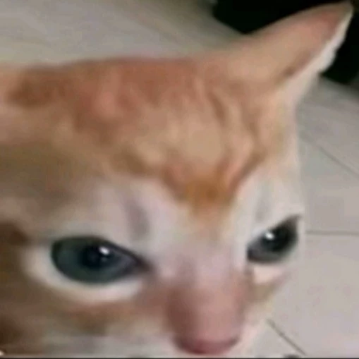 Aki