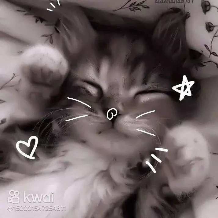 Lisa/garota gato(Stella) 