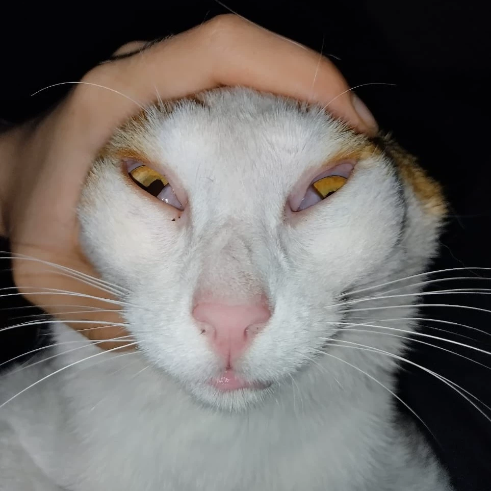 Lumiere 