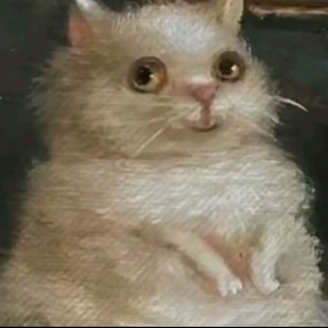 Aya