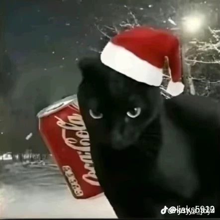 Алекс