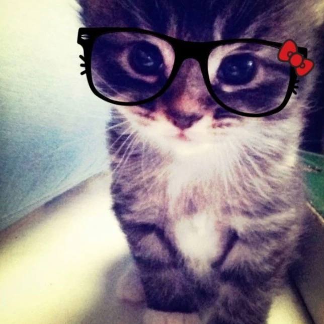 Tina