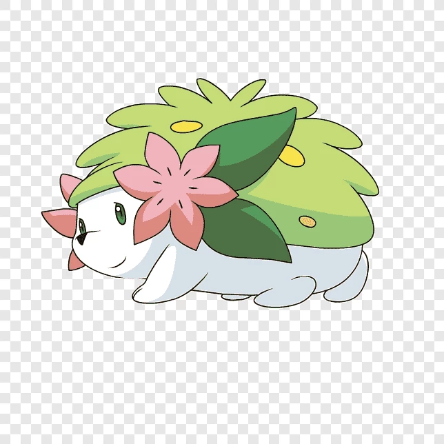 Ellen 