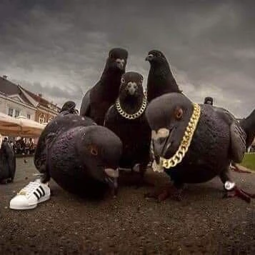.....