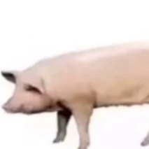 终难忘
