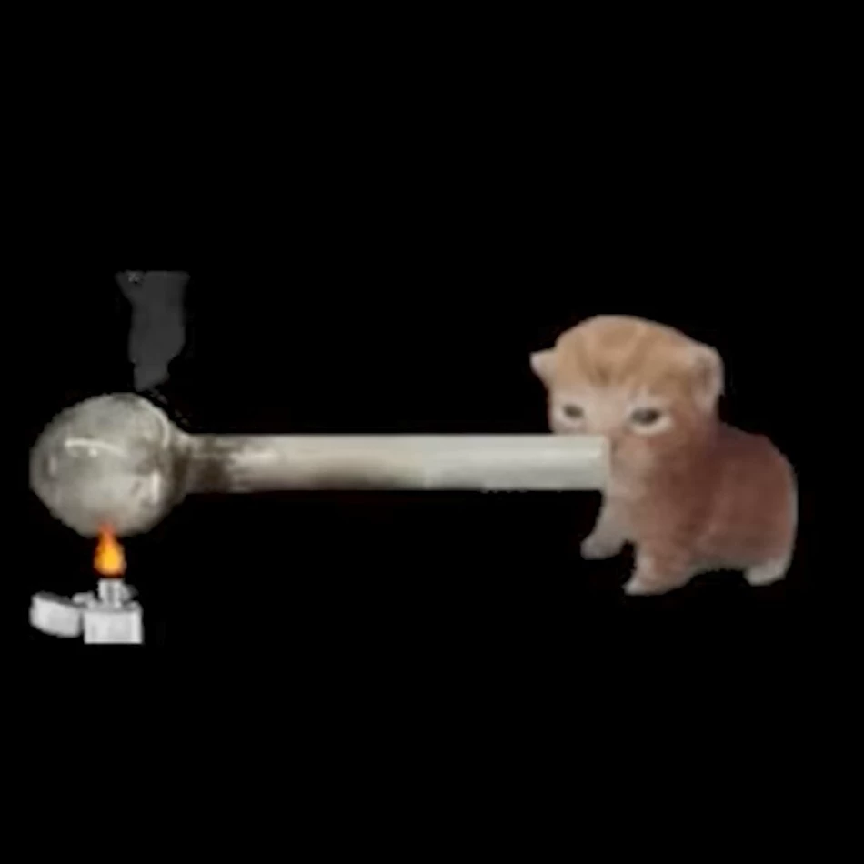 Коки-Коки