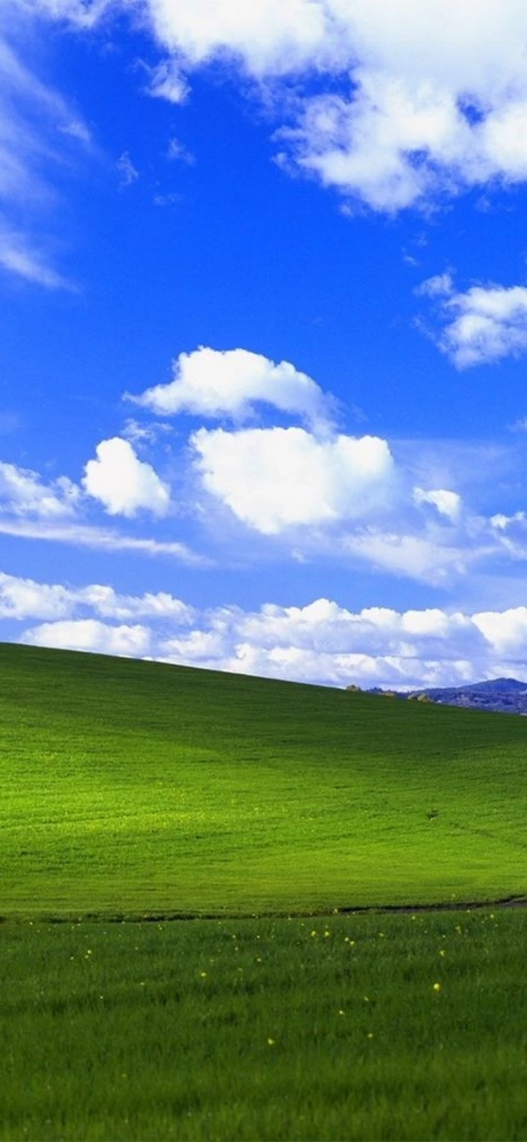 Рафаэль