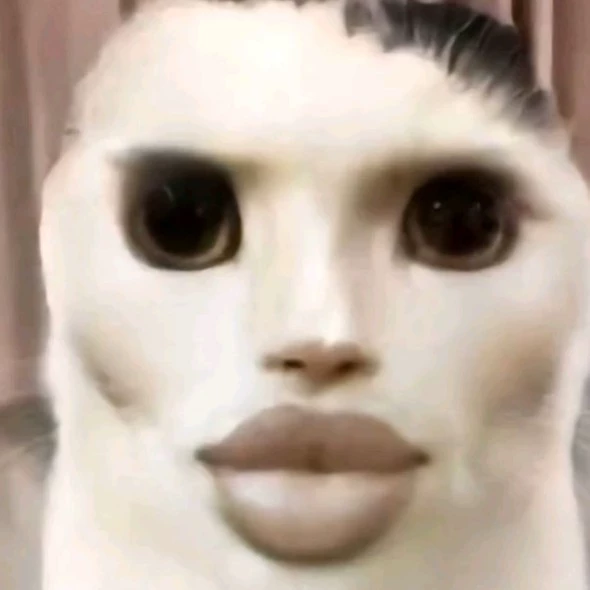 Luis 