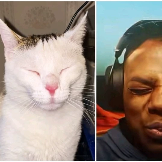 Milo