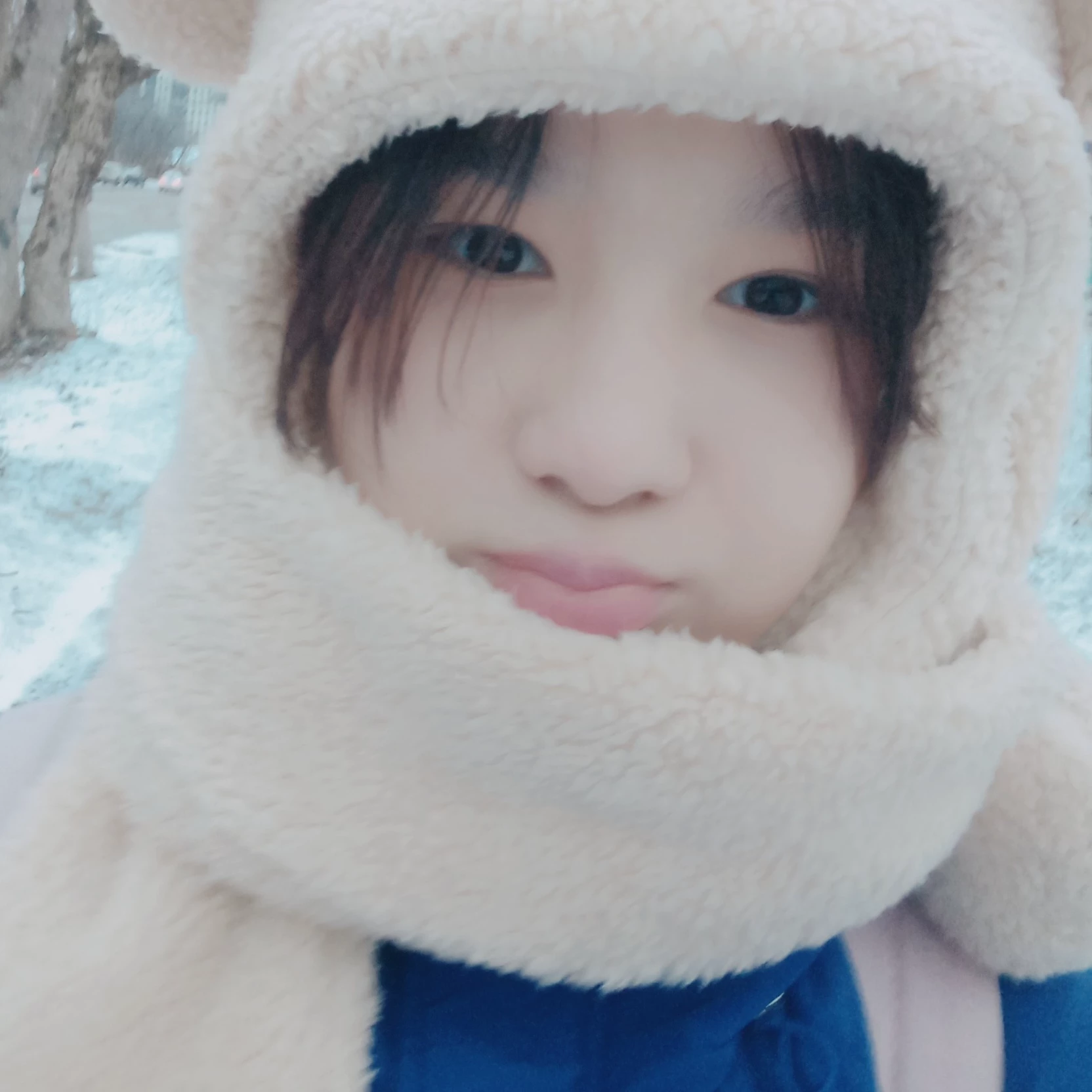 МИЖГОНА