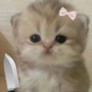 Vioxx_😺