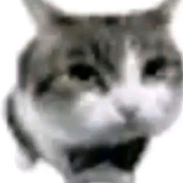 •°•_Mel_•°•