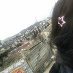 lily hoonls