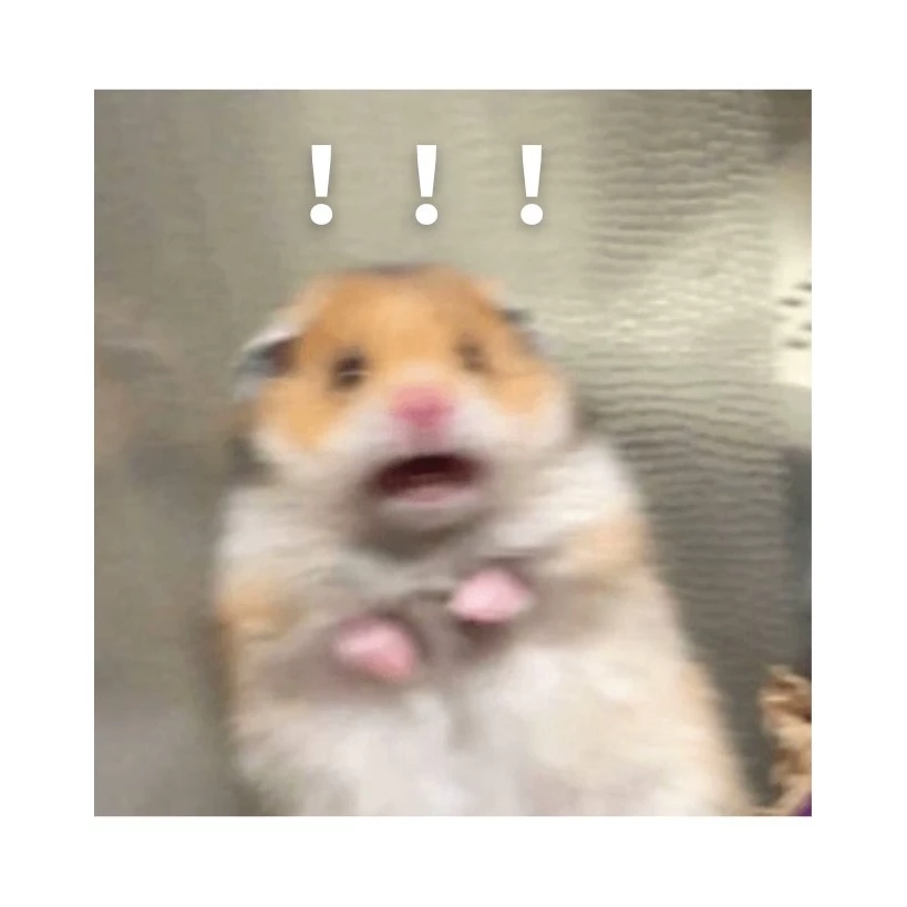 柔儿