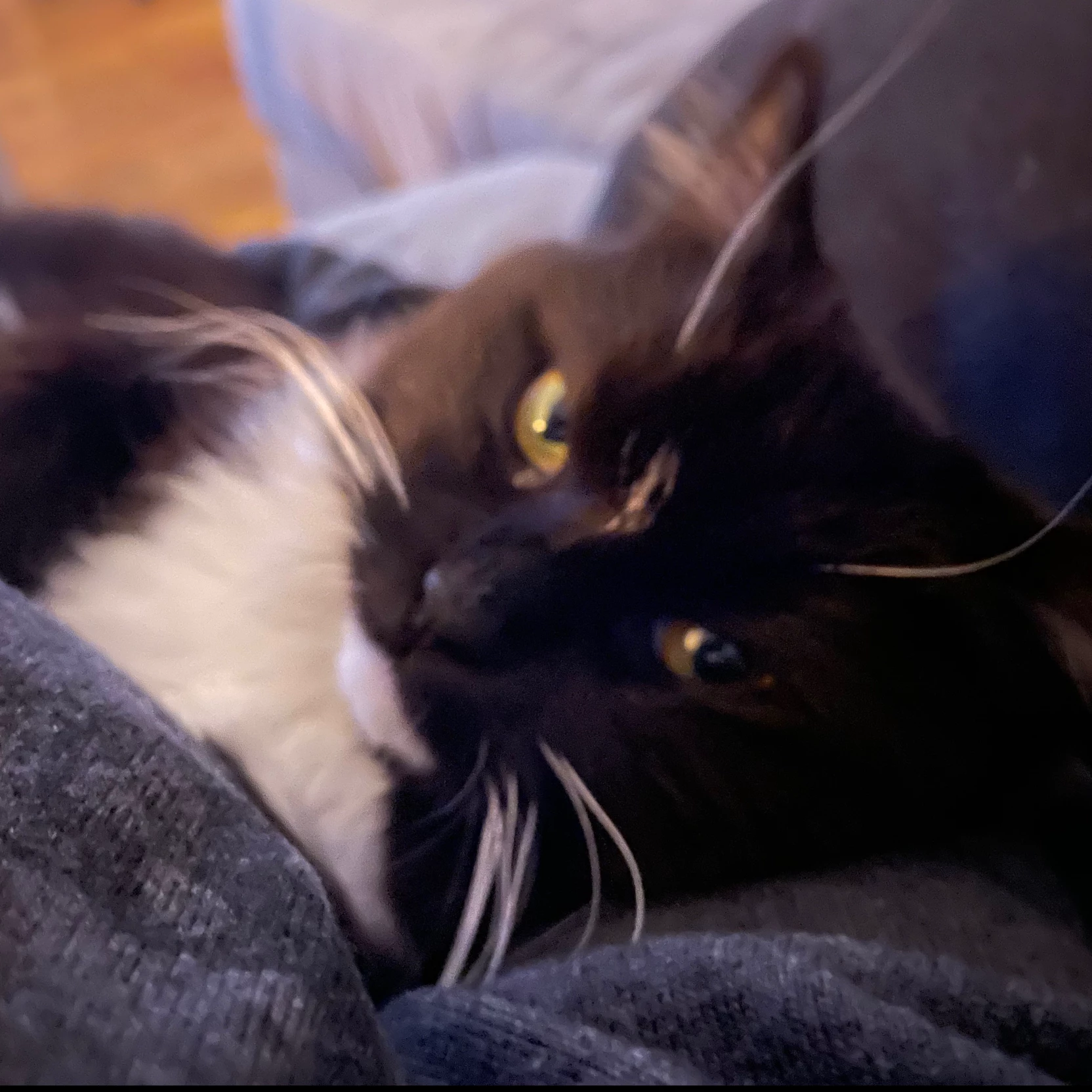 Samantha