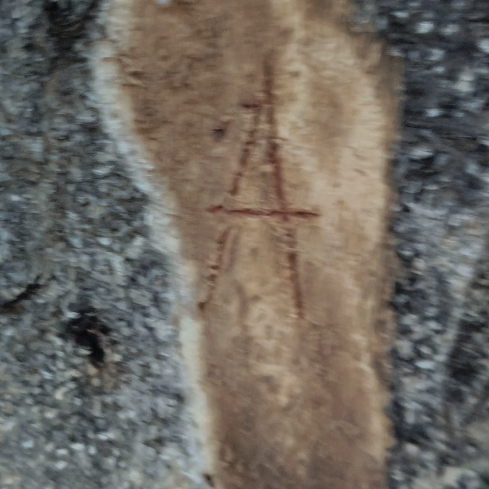 metal hose