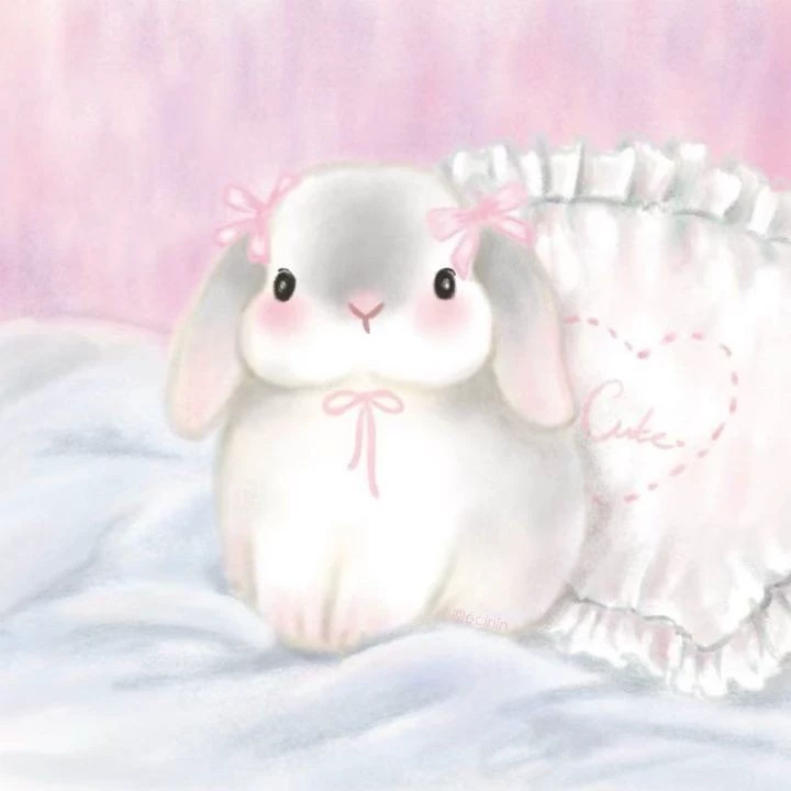 𝓐𝓵𝓮𝓳𝓪𝓷𝓭𝓻𝓪 💗🐰
