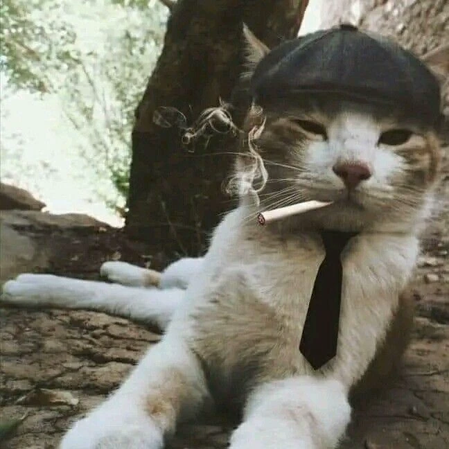 ♠ <-Рус-> ♣