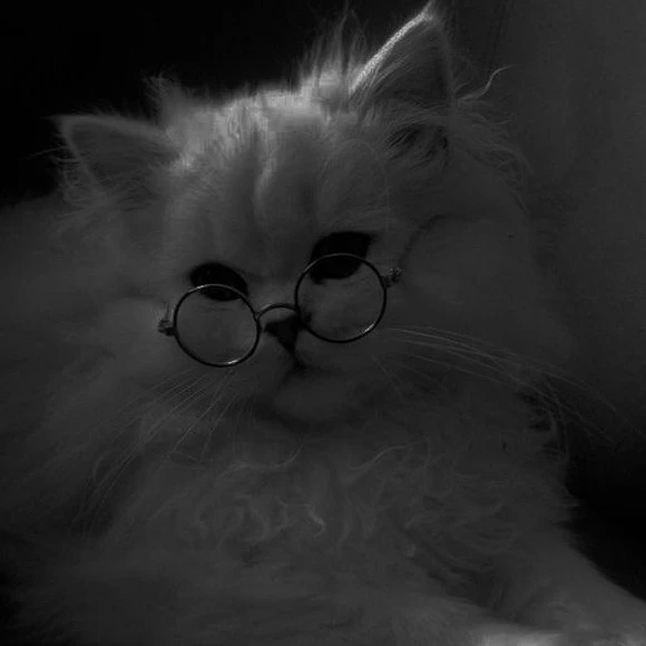 Samy