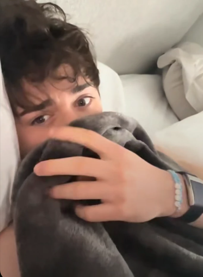 Noah Schnapp thumbnail