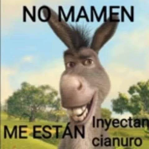Marco 