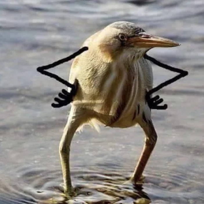 Javil