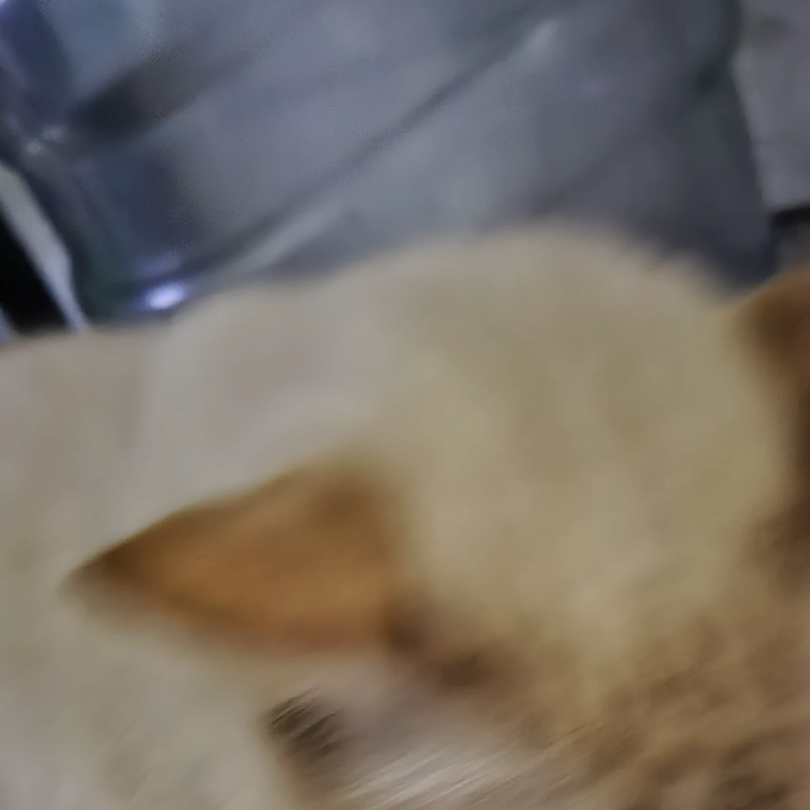 Isaac