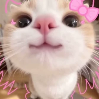 𝕮𝖍𝖎𝖈𝖍𝖎🍒🎀