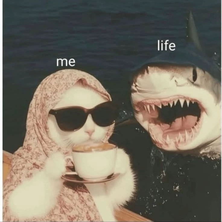 𝕄𝕚𝕣𝕒 
