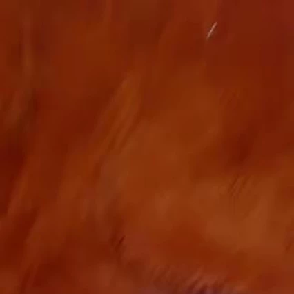 bela