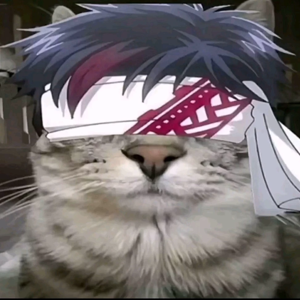 shin