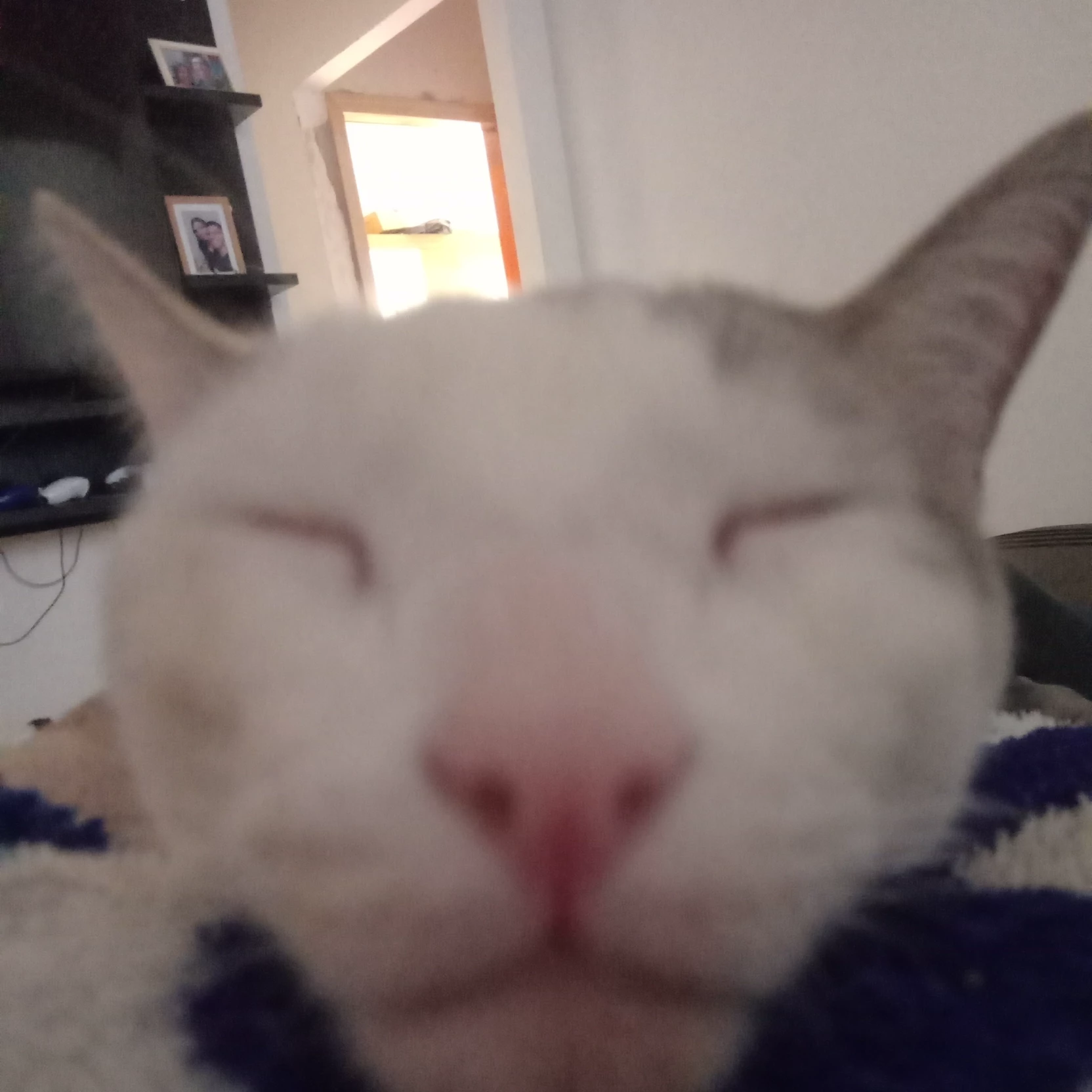 Ian