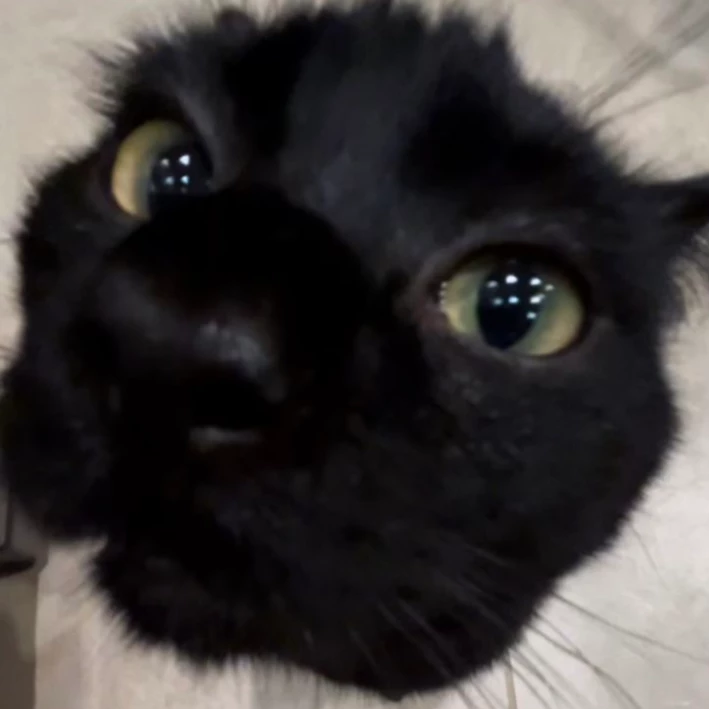 Aiko