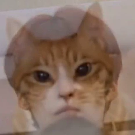 Kim Chan-mimg 